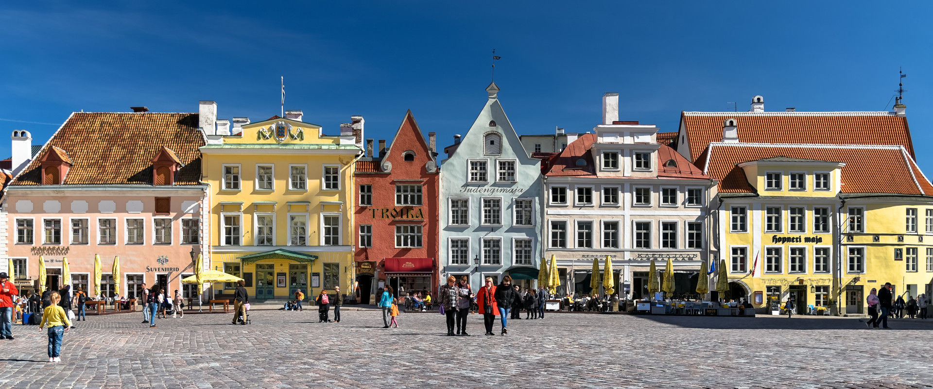 Why Choose Estonia for Your Study Abroad Experience